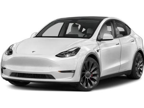 TESLA MODEL Y 2021 5YJYGDEE0MF193915 image